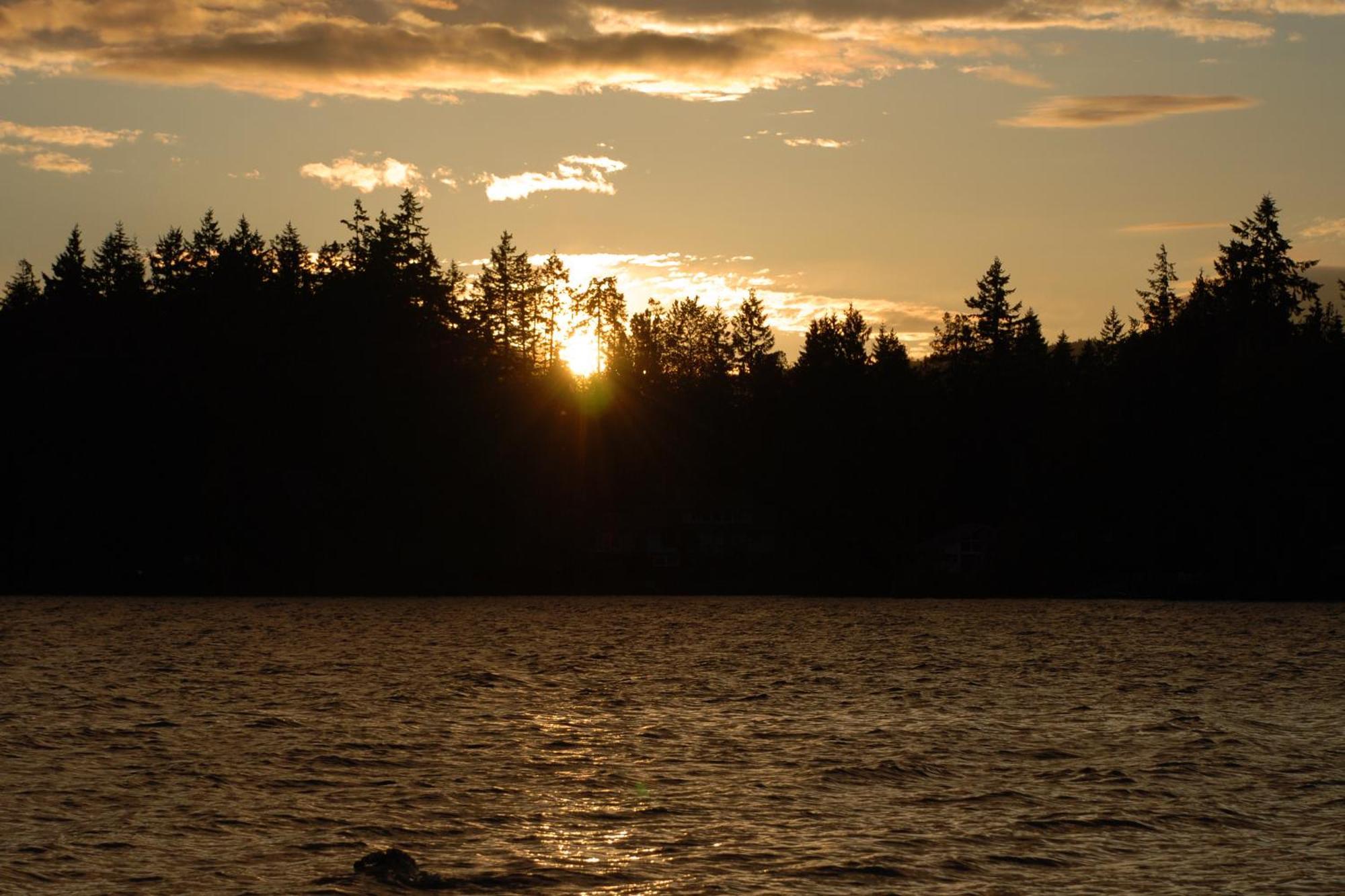 Shawnigan Suite B & B Shawnigan Lake Εξωτερικό φωτογραφία